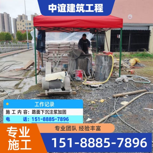 广州荔湾宠物狗 - 专业上门服务333