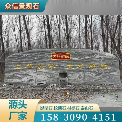 来宾大化驾校/陪练 - 专业上门服务269