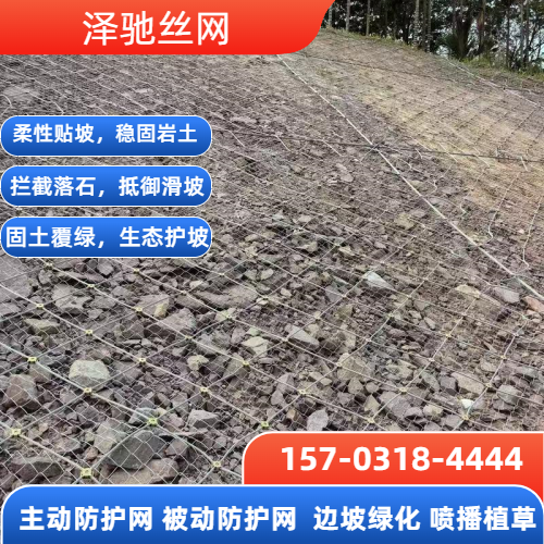 来宾巴马虚拟物品 - 专业上门服务21