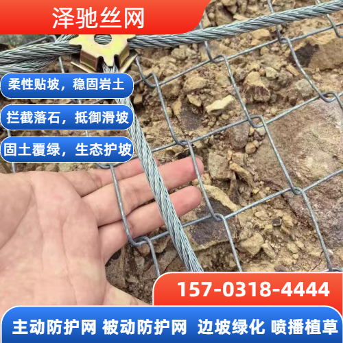 黔西南布依族苗族自治州望谟庆典演出 - 专业上门服务767