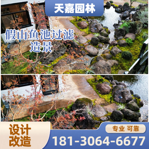 鱼池过滤