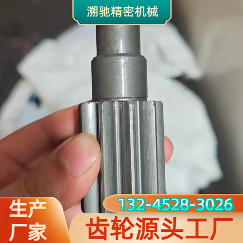 传动齿轴