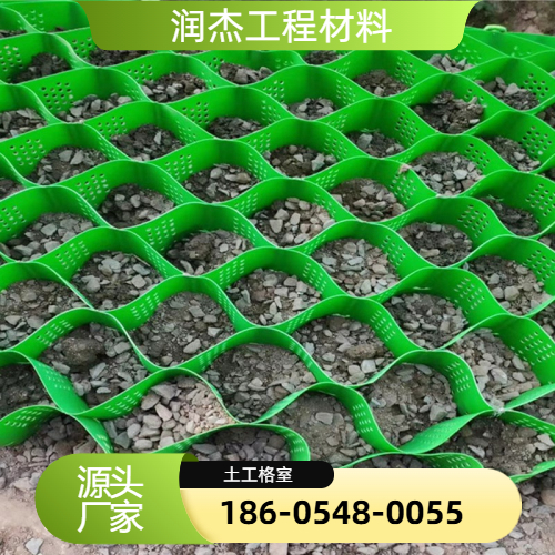 蜂窝土工格室护坡