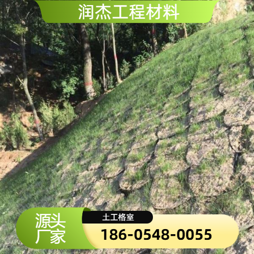 HCW蜂巢土工格室