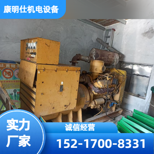 便携发电机组