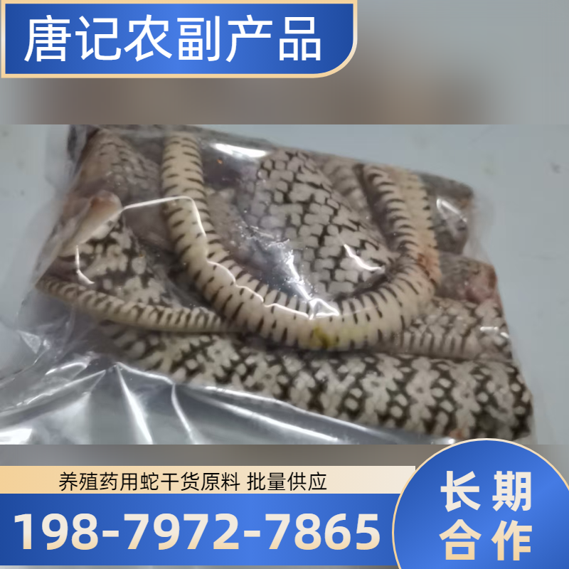 山东省德州养殖麝香鼠|麝香鼠种苗|眼镜蛇｜本地厂家采购热线｜本地厂家咨询手机推荐｜区域支持地区：陵县|平原|乐陵｜区域就近安排发货-唐记农副产品