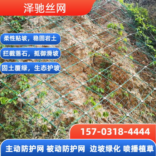 落石网
