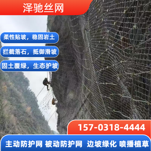 岩石网