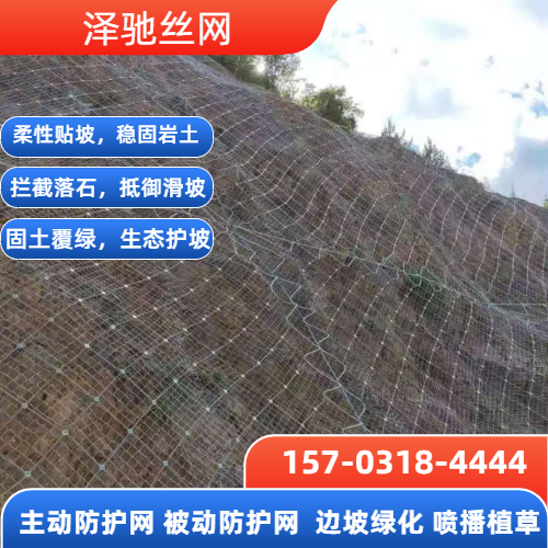 山体主动防护网