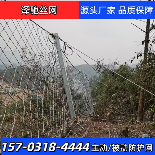 危岩防护网