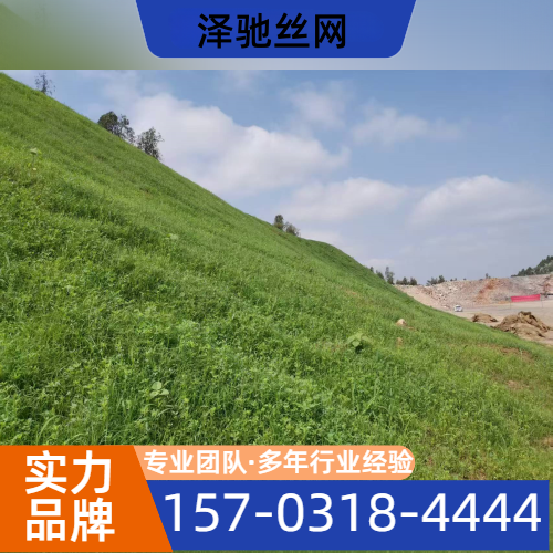 边坡绿化