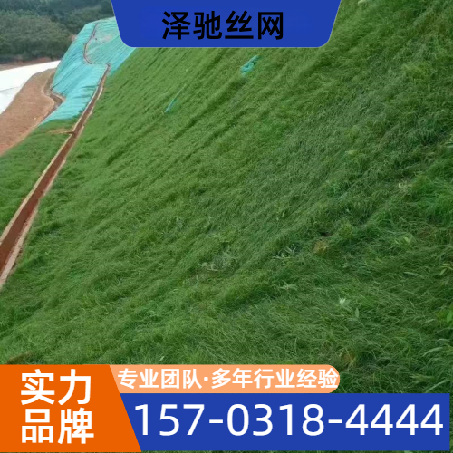 岩土坡面治理