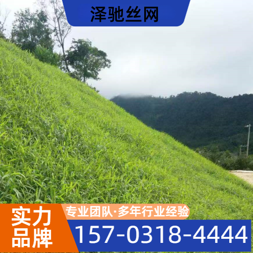 山体绿化