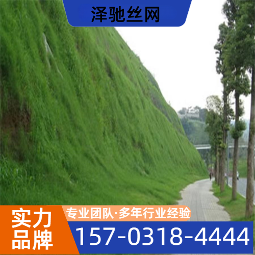 坡面植草