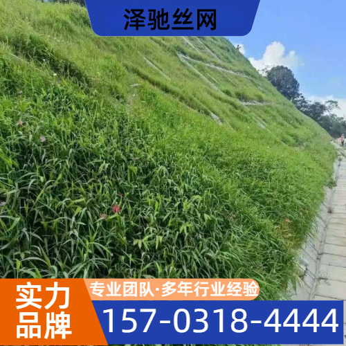 岩土坡面治理