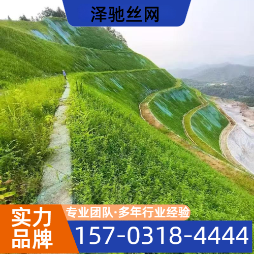 山体生态治理
