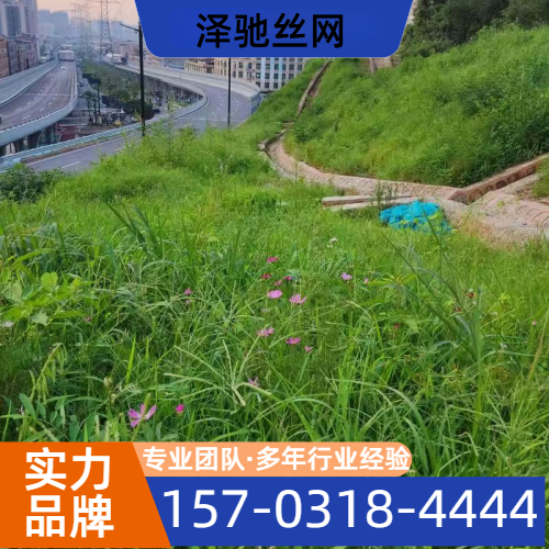 山体植被重建