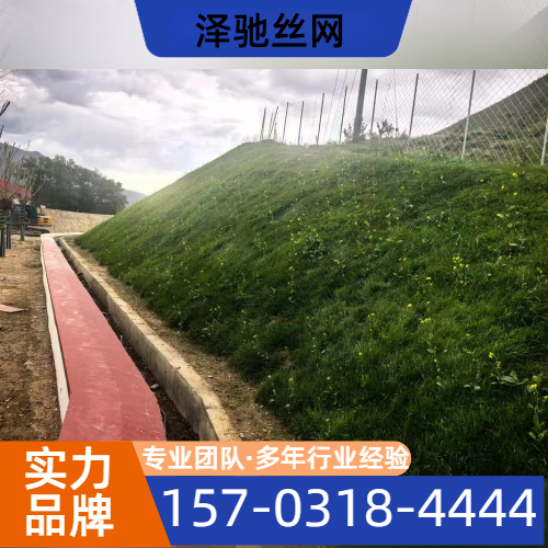 坡面植草