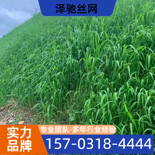 陡坡客土喷播