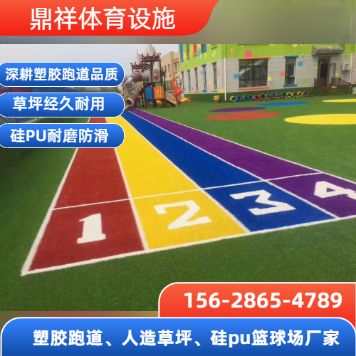 运动场草皮