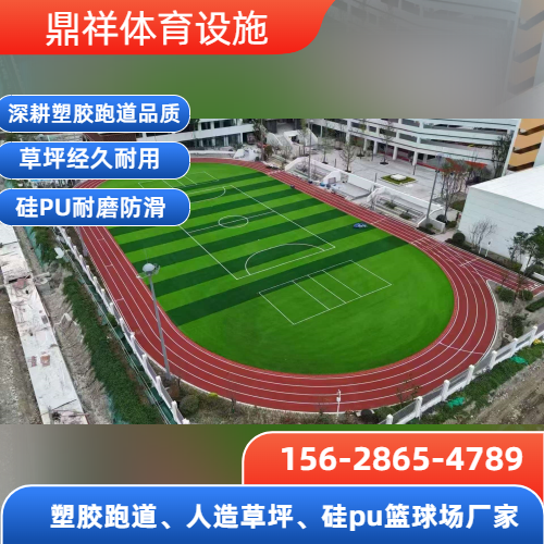 足球场草坪