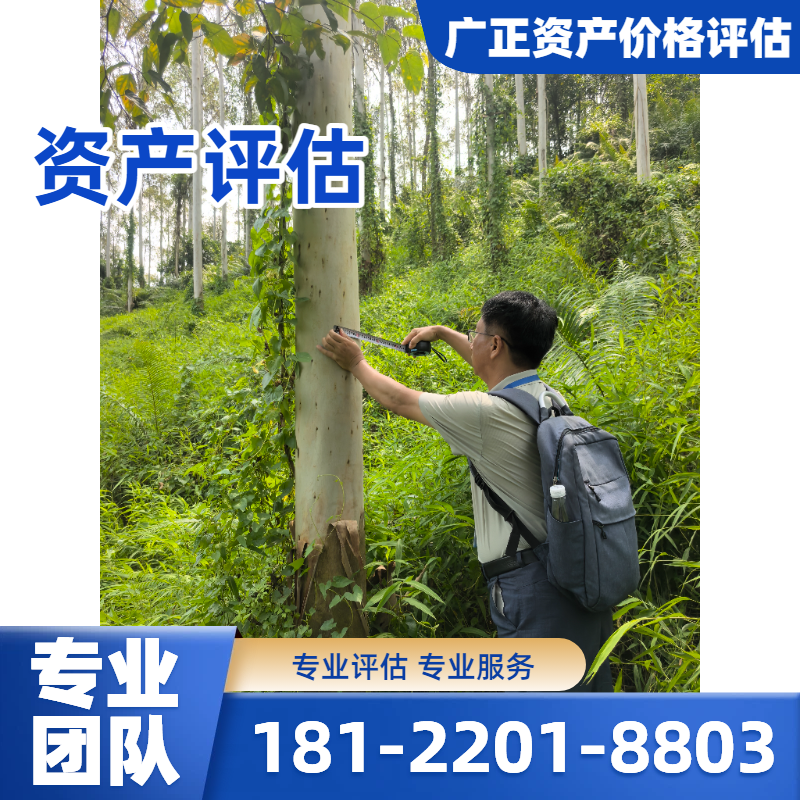 公司资产评估