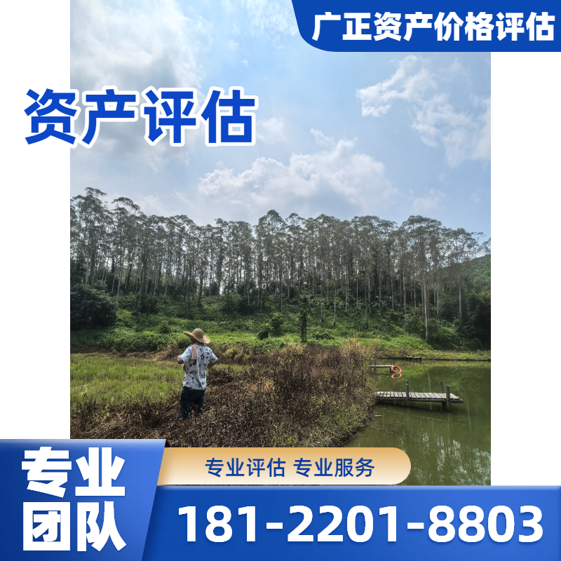 资产评估