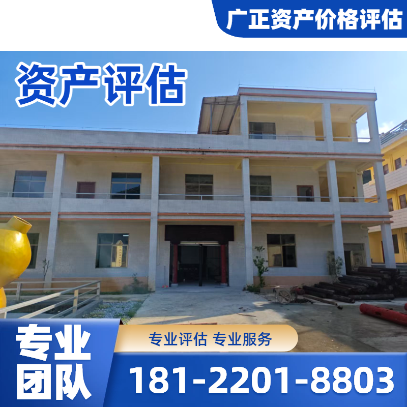 无形资产评估