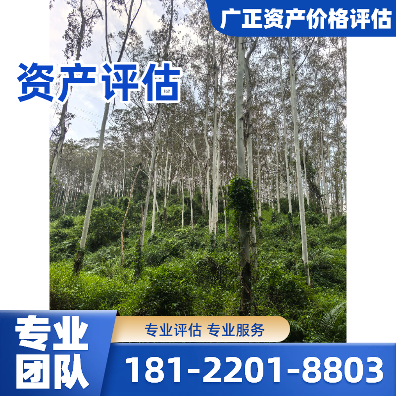 无形资产评估