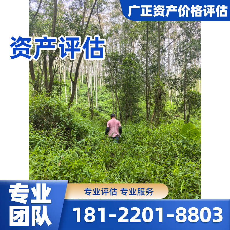 无形资产评估