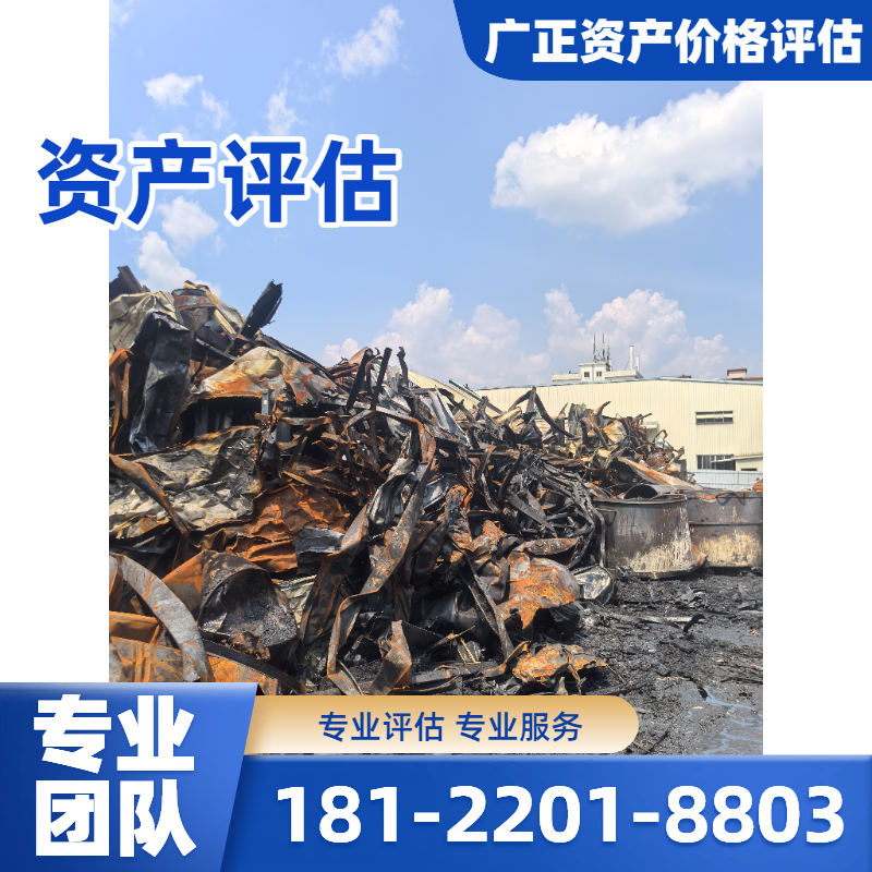 无形资产评估