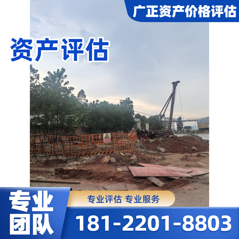 无形资产评估