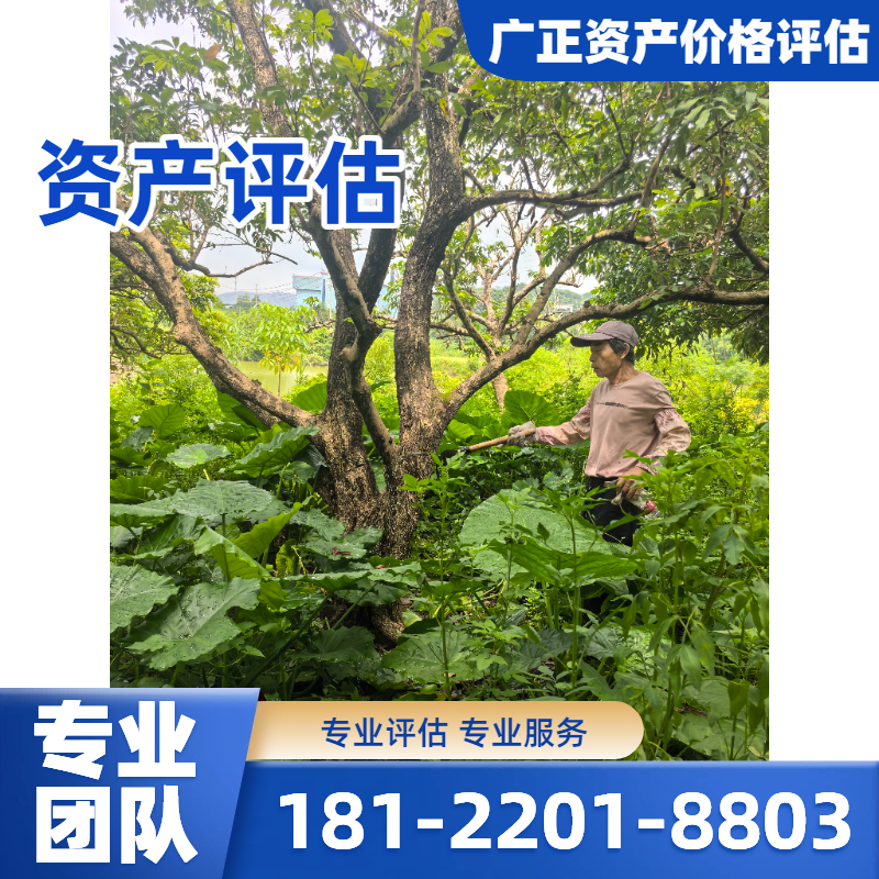企业价值评估