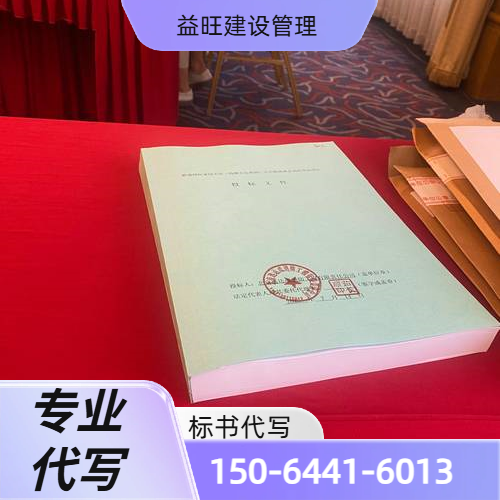 国网标书代写
