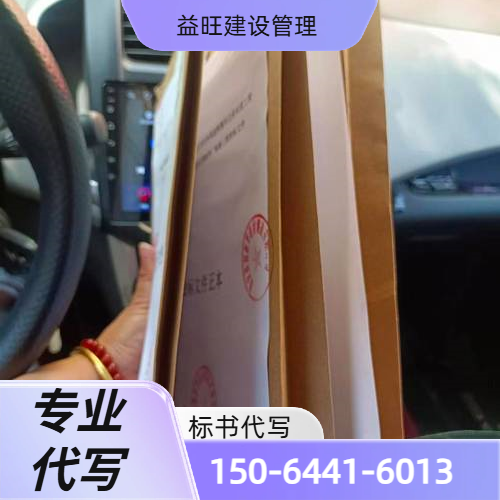 服务类标书代写