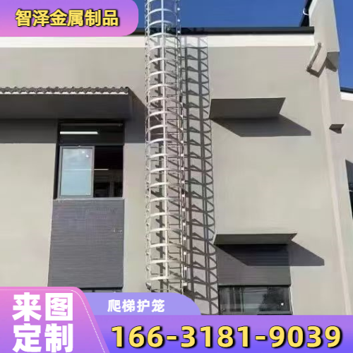 水池安全爬梯护笼